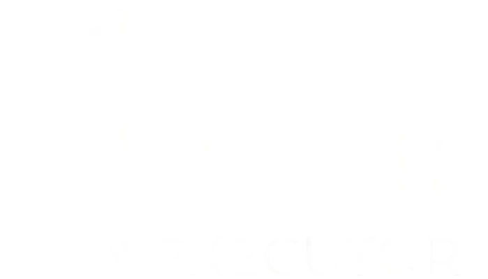 Fluxus Executor