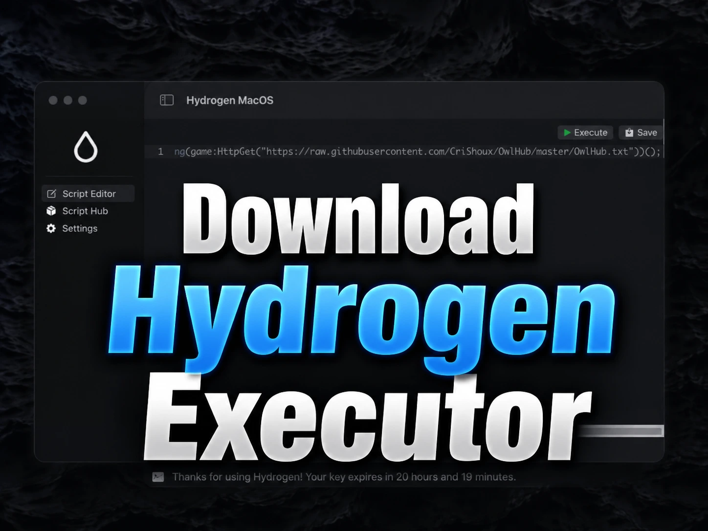 Download Hydrogen Executor
